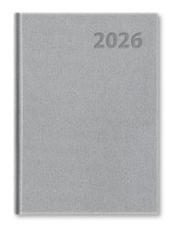 Denn dir Manager 2026 - strieborn